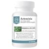 Artemisia